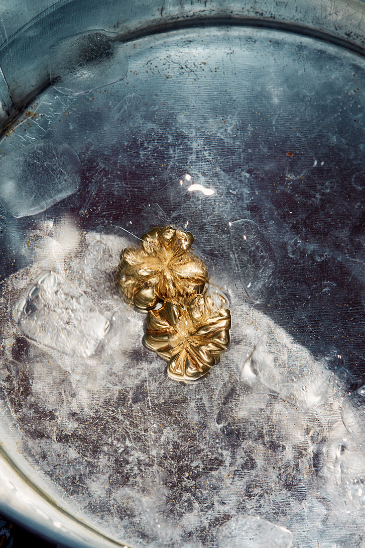 Kolczyki Fox Coral zdjęcie